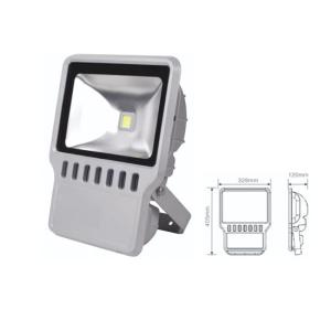 Quality IP65 high power 50W led floodlight wholesale