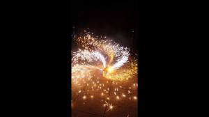 Quality Mandarin Pyrotechnic Sparkler Funny Tumbler Fountain Fireworks Salute Outdoor wholesale