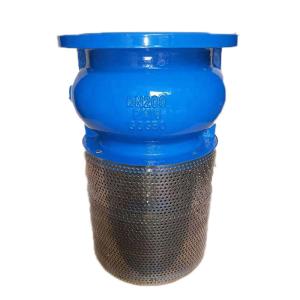 China OEM Ductile Iron Foot Check Valve For Water Pump on sale