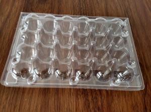 Quality clamshell kiwi packing folding boxes wholesale