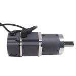 36V 60mm 200 Watt Servo Motor 75RPM Planetary Gearbox Motor 1000 Line