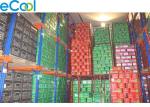 Fruits & Vegetable Cold Storage Logistics Distribution Center 6000m² High