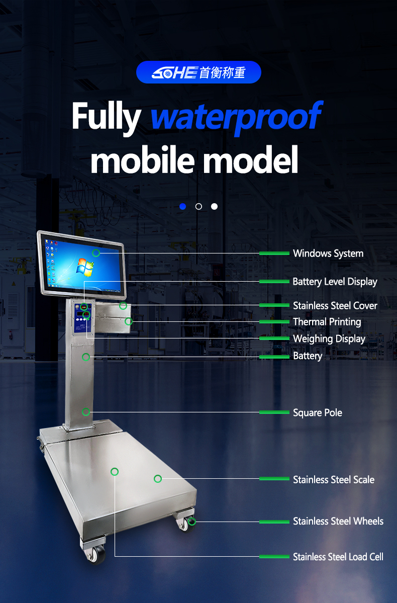 400*500mm Industrial Scale with 200kg Weight Capacity and Stainless Steel Platform