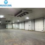 Industrial Logistics Fish Freezer Construction for Frozen Food Seafood Meat