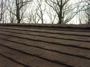 Quality Stone Coated Roofing Tiles wholesale