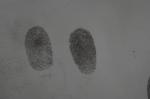 C079 Black fingerprint powder