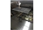 Fully Automatic Cartoning Machine Stainless Steel Bottle Packing Cartoner