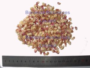 Quality Freeze Dried Pomegranate Arils wholesale