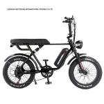 Custom 48V 1000W Electric Bike 20 Inch Fat Tire Ebike With And 52V Lithium