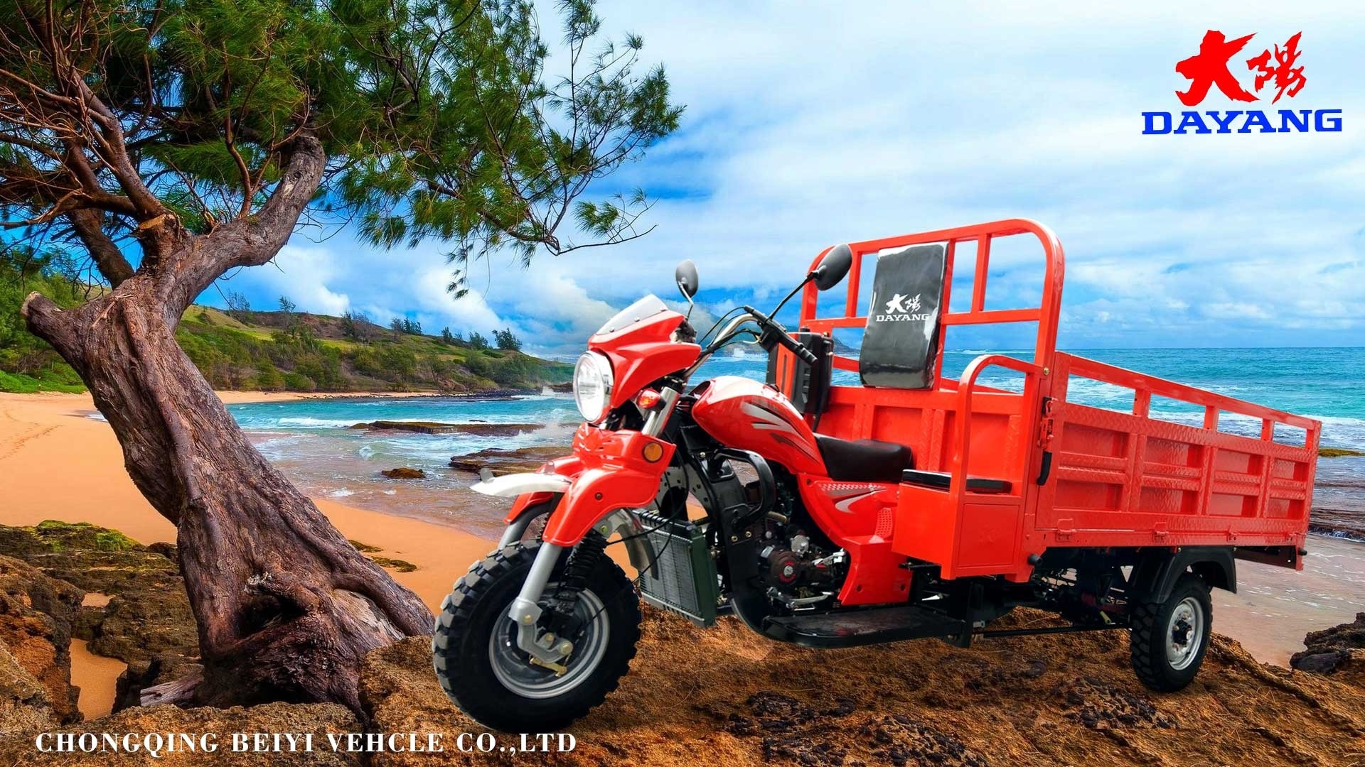 250cc Chinese 3 Wheeler Luxury Carriage Motorized Cargo Tricycle with Open Body Type