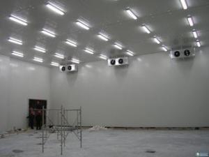 Quality Bespoke Cold Rooms 100mm Panel Vegetable Cold Storage Room wholesale