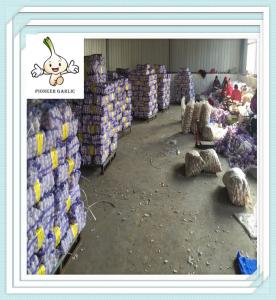 Quality China Good Quality Fresh White Garlic 5.5CM 4P High quality Jinxiang export garlic wholesale