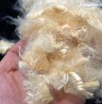 Whiteness 52% Anti Ultraviolet Natural Soybean Protein Fiber For Filling 1