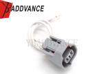 6189-0249 Sumitomo Auto Wiring Harness 2 Pin Female Electrical Wiring Harness