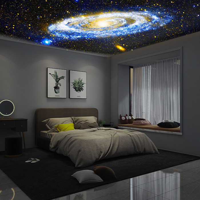 12 In 1 HD Planetarium Galaxy Projector Durable For Home Theater
