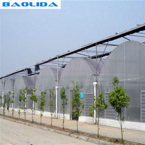 Quality Long Life Span Heavy Duty Plastic Greenhouse High Large Size Available wholesale