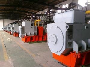 Quality 300kW 1200kW Waste Gas Energy Generator For Chemical Plants Refineries wholesale