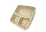100% Biodegradable Sugarcane Bagasse Takeaway Food Container Disposable