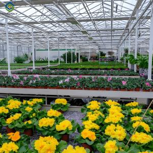 Quality Waterproof Flower Greenhouse Multi Span Greenhouse With Strong Load Bearing wholesale