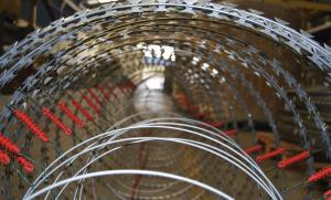Quality 980mm Electrified Razor Barbed Wire , Concertina Wire Wall With Blades Fence wholesale