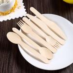 Biodegradable Bamboo Utensil Disposable Bamboo Cutlery Set for Party Camping