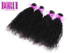 Cuticle Aligned Kinky Curly Human Hair Virgin Malaysian Bundles Extension