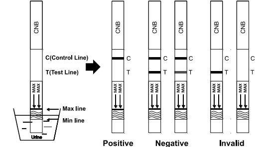 40T 50T Can/nabinol C/NB Drug Urine Test Kit Rapid Test Cassette Dipstick Panel