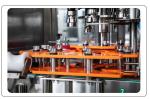 Fertilizer FX-6AH Six Head Automatic Rotary Capping Machine