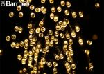 12M 100LED Holiday Solar LED Christmas Lights IP 65 8-15 Hours Lighting Time