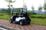 Electronic Small 2 Seater Golf Cart With Caddy Plate CE Approved , Green Color