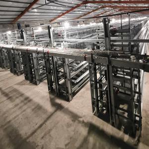 Quality Mechanical Poultry Egg Production Equipment Q235 Low Carbon Hot Galvanizing wholesale