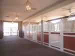 Indoor Easy Installation Horse Stable Stall Panels Doors Anti - Corrosion