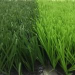 55 Mm 50mm Artificial Football Lawn High Standard Fire Proof PE Material