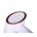 Multifunctional Handheld Electric Design Clothing Steamer with Hair Brush
