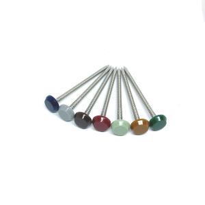 Quality Polished 316 Stainless Steel Ring Shank Plastic Head Nails wholesale