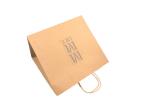 Kraft Custom Printed Paper Shopping Bags Silver Foil Stamping OEM Service