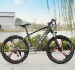 Magnesium Alloy Hidden Battery Electric Bicycle 48V 250W 350W 26 / 27.5 Inch Hub
