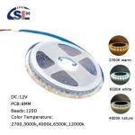 Hotel CCT 12V24V 8mm 120leds 3000K-6500K Warm White-White Dual Color 35Copper