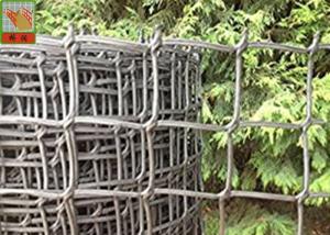 Quality Garden Mesh Netting for Climbing Plant Support Hole Open 19 mm 0.5 Meters Wide wholesale