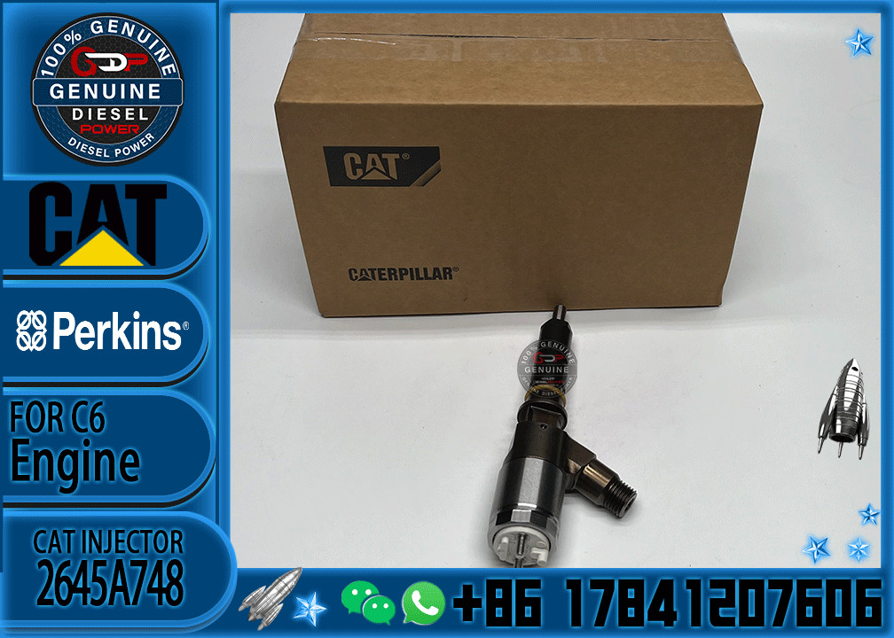 Common rail injector fuel injecto 10R-7675 2645A748 2645A743 320-0670 for C4.2 C6.4 Excavator C4.2 C6.4 320D