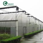 PC Sheet Cover Material Multi-Span Agricultural Greenhouse for Vegetable Growing