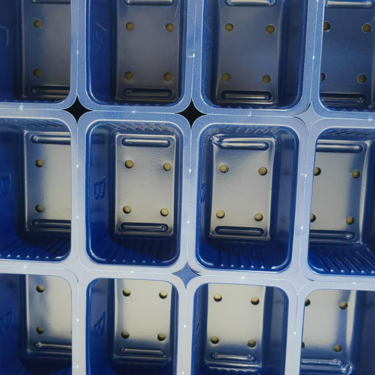 Customized Single Plant Plastic Seedling Tray PS Square Hole Disposable Seedling Trays