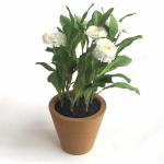 LFGB Custom Cork Plant Pots Eco Friendly Recycled Biodegradable