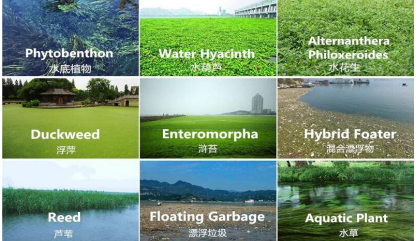 Duckweed Reed 1000m3 Floating Algae Harvester Machine Water Grass Harvester