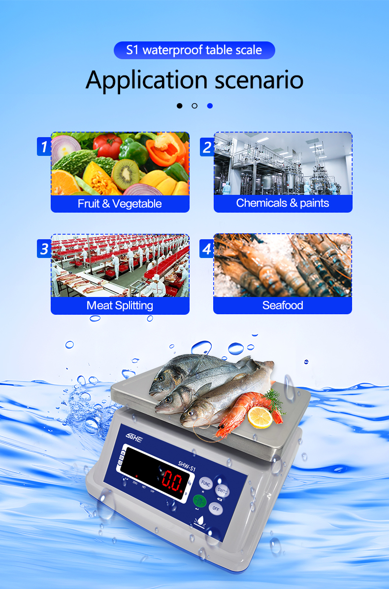 Double Layer Structure 30KG Waterproof Scale with Precision Sensor and LED Display