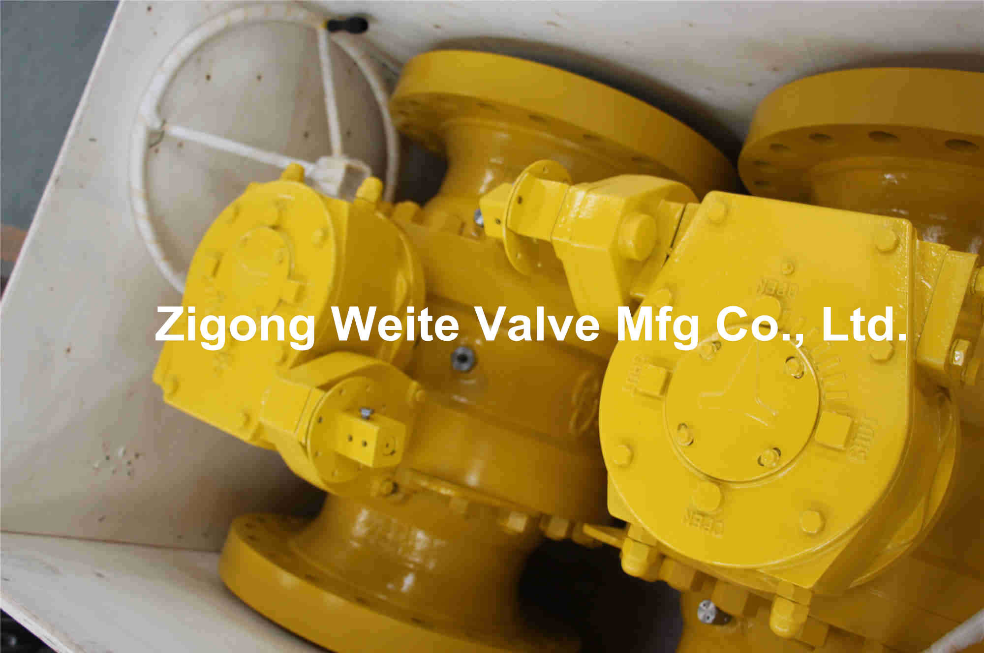 Class 600 Trunnion Mounted Ball Valve WCC Ball Valve Reduced Bore