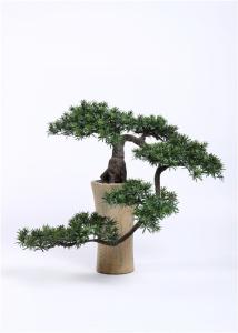 Quality Interior Artificial Bonsai Plants Subtle Tropical Feel High Simulation wholesale