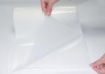 Polyester Hot Melt Adhesive Film , Laminating Thermal Adhesive Tape For Bonding