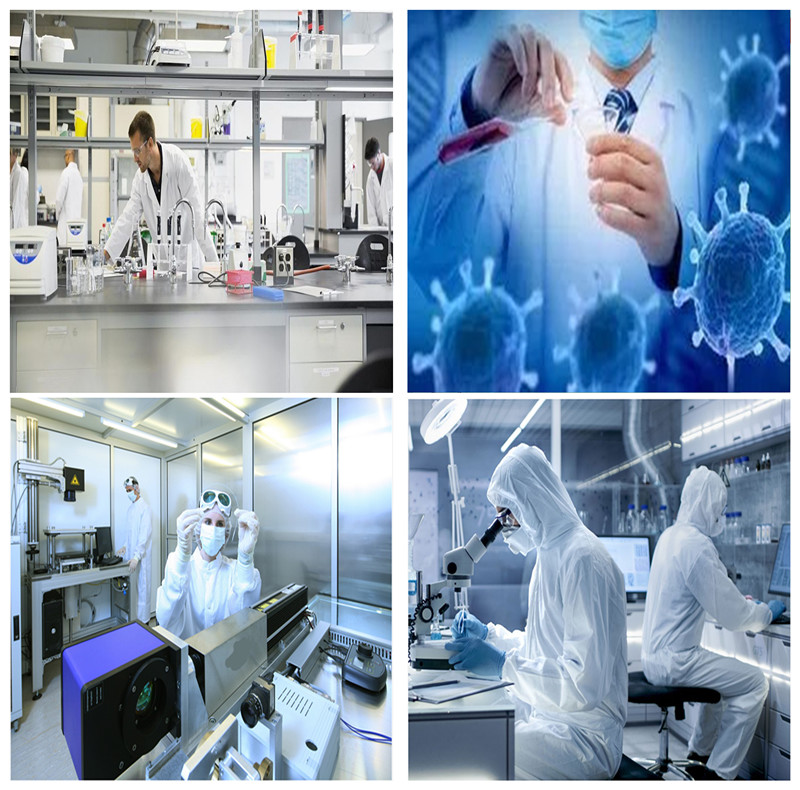 Vehicle Mounted PCR Clean Room / Single Cabin Mobile Clean Room Trailer