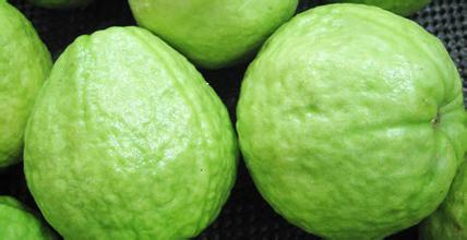 Different Sizes Insect Against Protection Paper Guava Bag guava bag factory